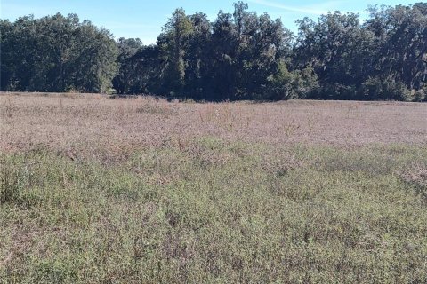 Land in Ocala, Florida № 2119023 - photo 6