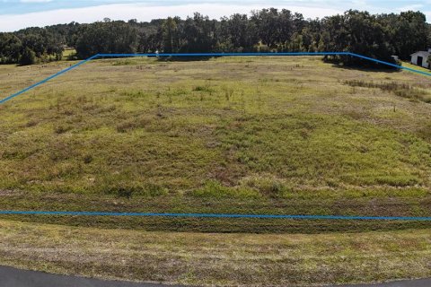 Land in Ocala, Florida № 2119023 - photo 8