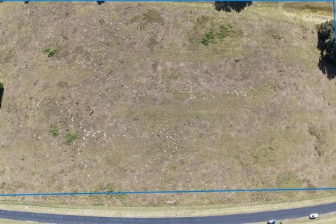 Land in Ocala, Florida № 2119023 - photo 2