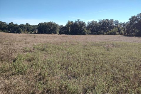 Land in Ocala, Florida № 2119023 - photo 4