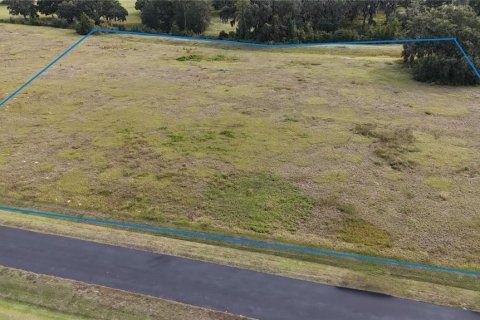 Land in Ocala, Florida № 2119023 - photo 7