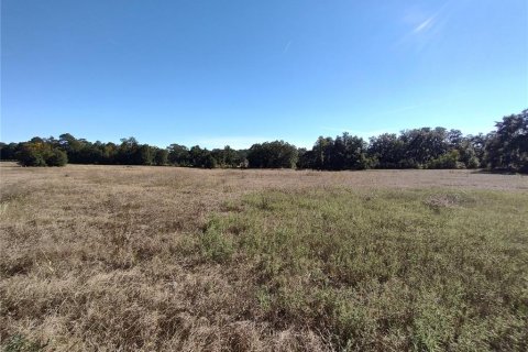 Land in Ocala, Florida № 2119023 - photo 5