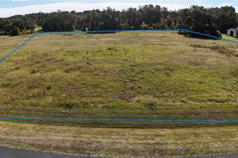 Land in Ocala, Florida № 2119023 - photo 9