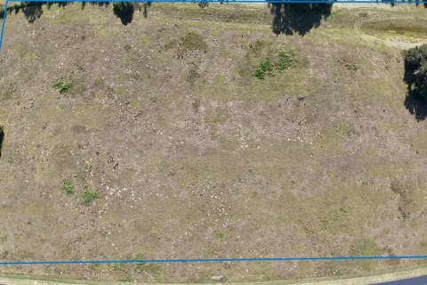 Land in Ocala, Florida № 2119023 - photo 3