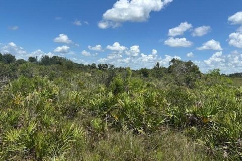 Immobilier commercial à vendre à Okeechobee, Floride № 2390155 - photo 2