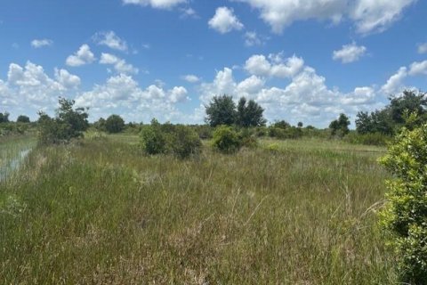 Immobilier commercial à Okeechobee, Floride № 2390155