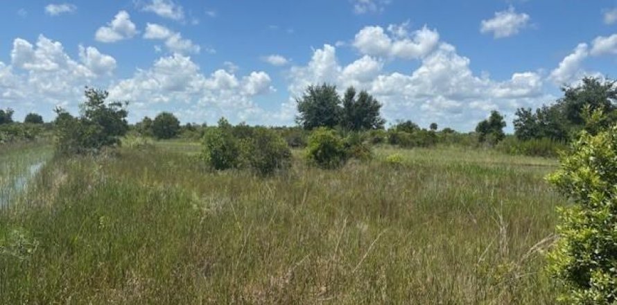 Immobilier commercial à Okeechobee, Floride № 2390155
