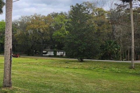 Land in Lake Panasoffkee, Florida № 2161177
