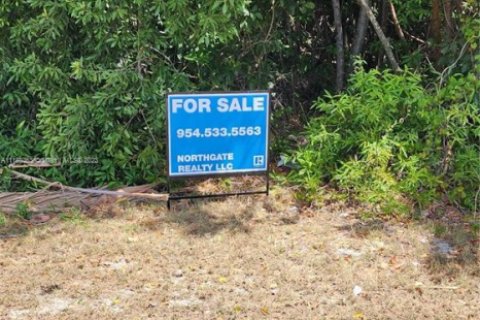 Land in Key Largo, Florida № 1863116 - photo 2