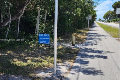 Land in Key Largo, Florida № 1863116 - photo 6