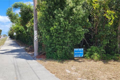 Land in Key Largo, Florida № 1863116 - photo 4