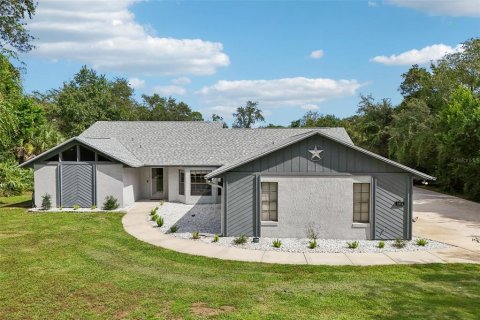 Villa ou maison à Port Orange, Floride 4 chambres, 242.75 m2 № 2423745