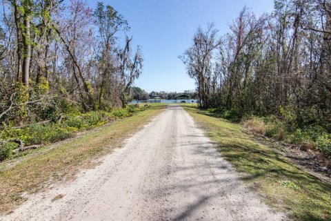 Villa ou maison à vendre à Lakeland, Floride: 3 chambres, 155.52 m2 № 2127980 - photo 29