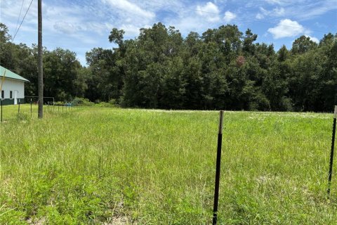 Terrain à vendre à Citra, Floride № 2207021 - photo 4