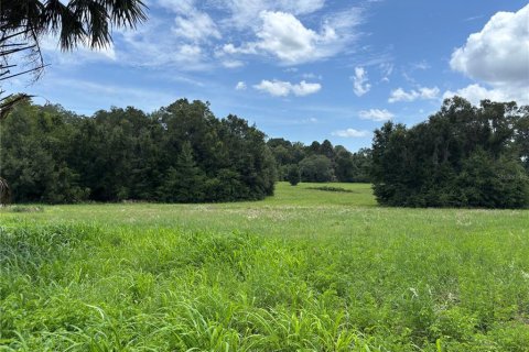Terrain à Citra, Floride № 2207021