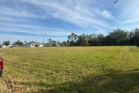Land in Punta Gorda, Florida № 1543930 - photo 6