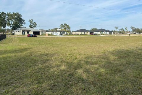 Land in Punta Gorda, Florida № 1543930 - photo 4
