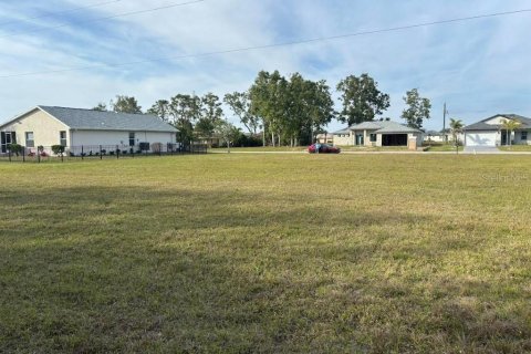 Land in Punta Gorda, Florida № 1543930 - photo 2
