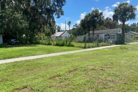 Land in Intercession City, Florida № 1544600 - photo 19