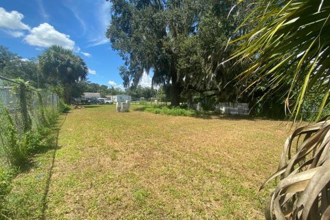 Land in Intercession City, Florida № 1544600 - photo 10