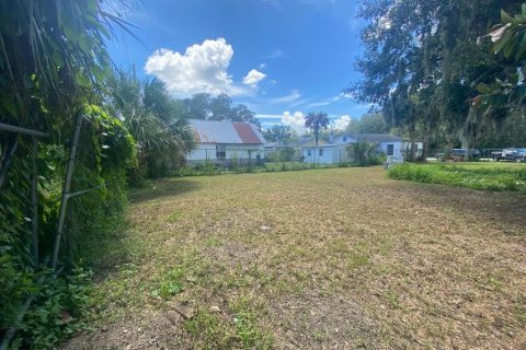Land in Intercession City, Florida № 1544600 - photo 13
