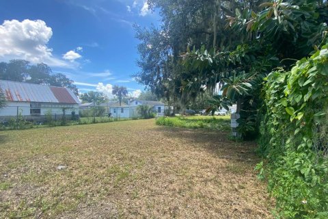 Land in Intercession City, Florida № 1544600 - photo 12
