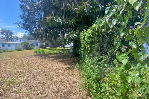 Land in Intercession City, Florida № 1544600 - photo 11