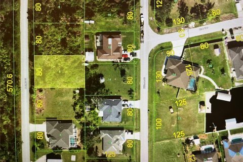 Land in Port Charlotte, Florida № 2163370 - photo 2