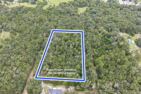 Land in Gainesville, Florida № 2334255