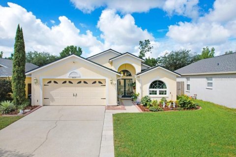 Villa ou maison à Valrico, Floride 3 chambres, 171.59 m2 № 2149413