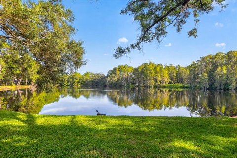 House in Tampa, Florida 3 bedrooms, 170.1 sq.m. № 2394257 - photo 25