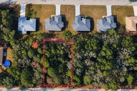 Land in Citrus Springs, Florida № 2361219