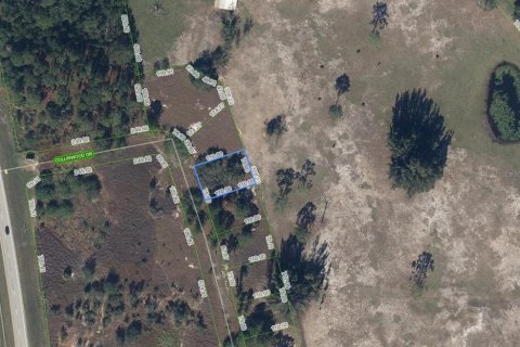 Land in Lake Placid, Florida № 2162562