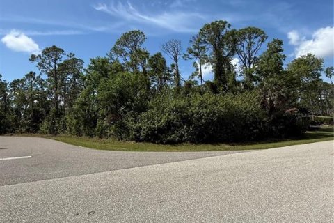 Land in Port Charlotte, Florida № 2162146