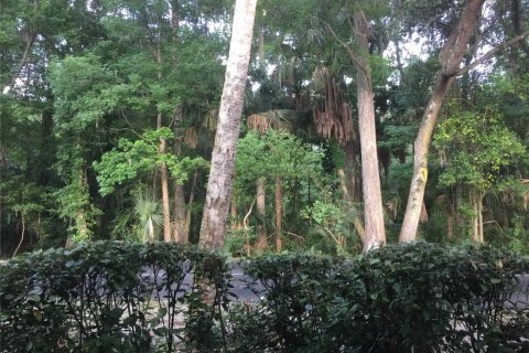 Copropriété à louer à Deltona, Floride: 2 chambres, 83.33 m2 № 2430536 - photo 2