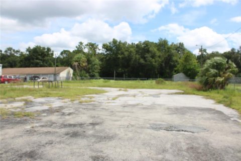 Immobilier commercial à vendre à Crystal River, Floride: 351.73 m2 № 1893885 - photo 4