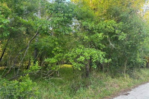 Land in Arcadia, Florida № 2158786