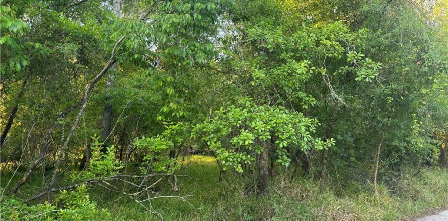 Land in Arcadia, Florida № 2158786
