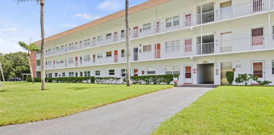 Condo in Saint Petersburg, Florida, 2 bedrooms  № 1320016