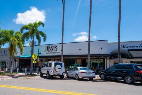 Land in Sarasota, Florida № 1894869 - photo 11