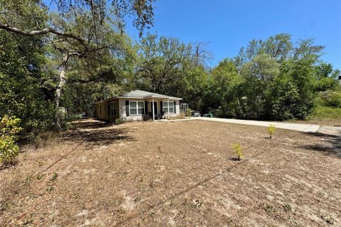 House in Lady Lake, Florida 2 bedrooms, 87.79 sq.m. № 1643335 - photo 28