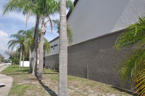Copropriété à louer à Tampa, Floride: 1 chambre, 45.89 m2 № 2103372 - photo 11