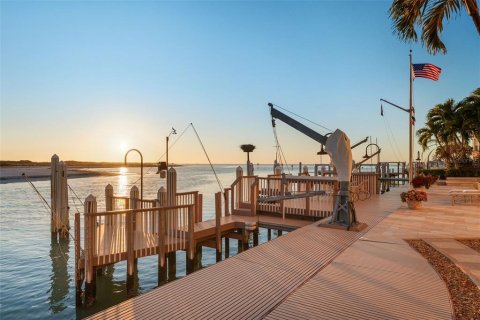 Villa ou maison à vendre à Tierra Verde, Floride: 5 chambres, 408.31 m2 № 2413428 - photo 13