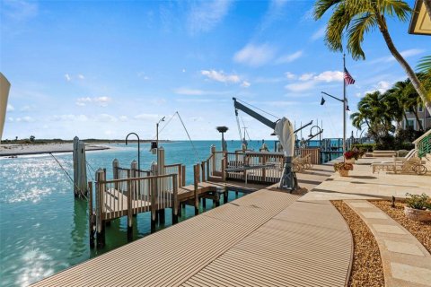 Villa ou maison à vendre à Tierra Verde, Floride: 5 chambres, 408.31 m2 № 2413428 - photo 22