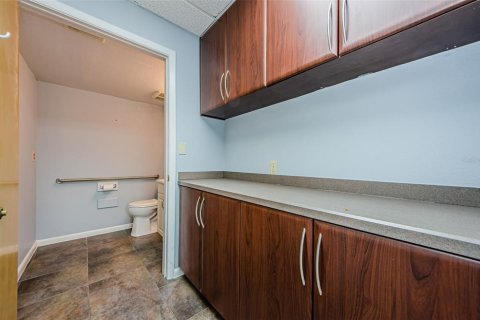 Propiedad comercial en alquiler en Safety Harbor, Florida, 339.09 m2 № 1722058 - foto 17