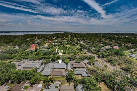 Propiedad comercial en alquiler en Safety Harbor, Florida, 339.09 m2 № 1722058 - foto 23