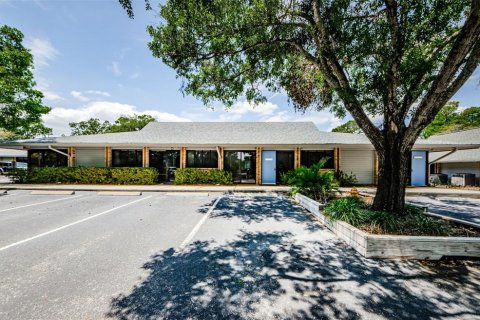 Propiedad comercial en alquiler en Safety Harbor, Florida, 339.09 m2 № 1722058 - foto 21