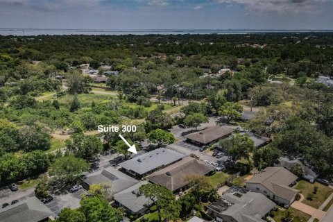 Propiedad comercial en alquiler en Safety Harbor, Florida, 339.09 m2 № 1722058 - foto 24