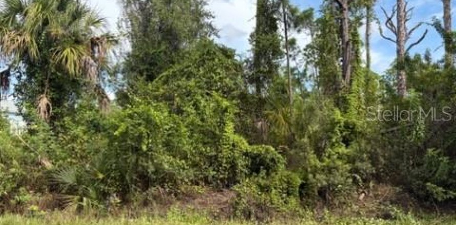 Land in North Port, Florida № 2393669