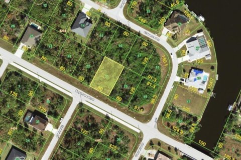 Land in Port Charlotte, Florida № 2228740 - photo 2
